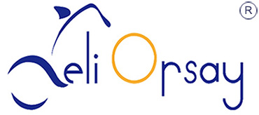 logotipo-Hebei Deli Orsay Technology Co., LTD
